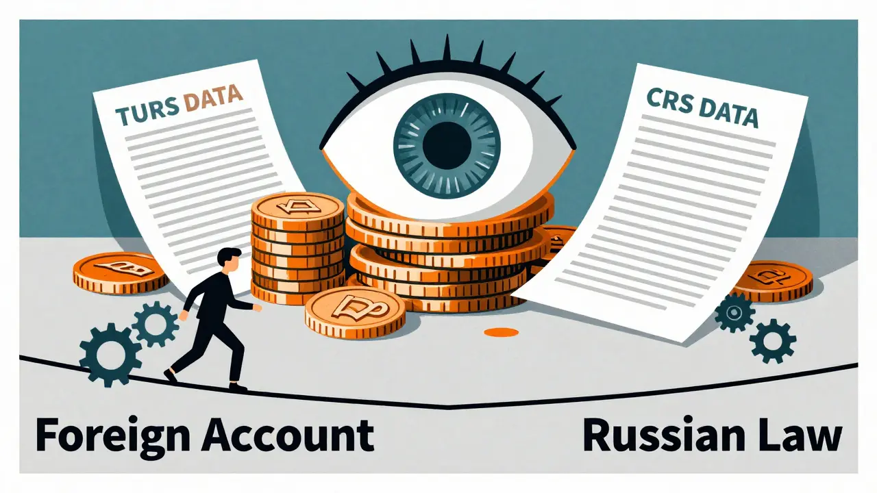 Метафора налоговых рисков и контроля со стороны ФНС